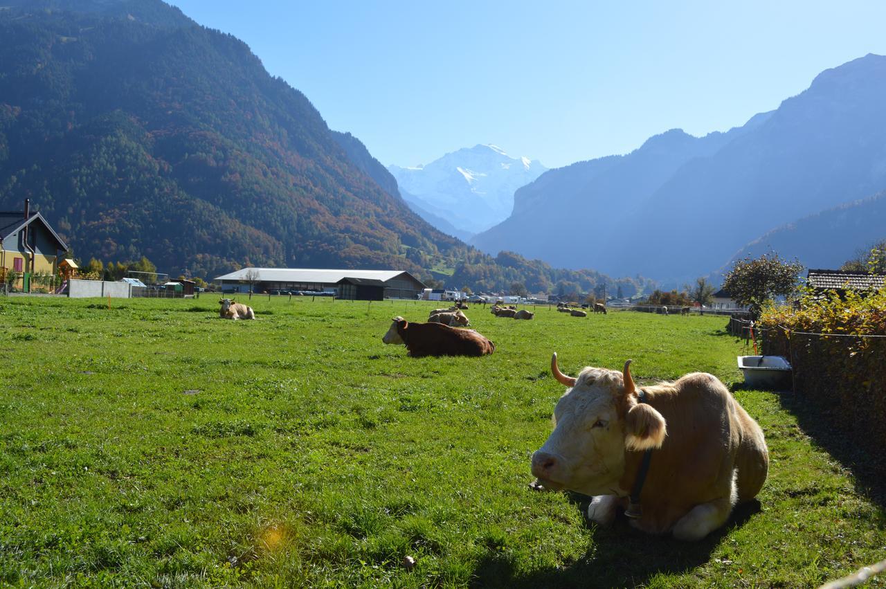 Jungfrau Family Holiday Home Matten bei Interlaken Extérieur photo